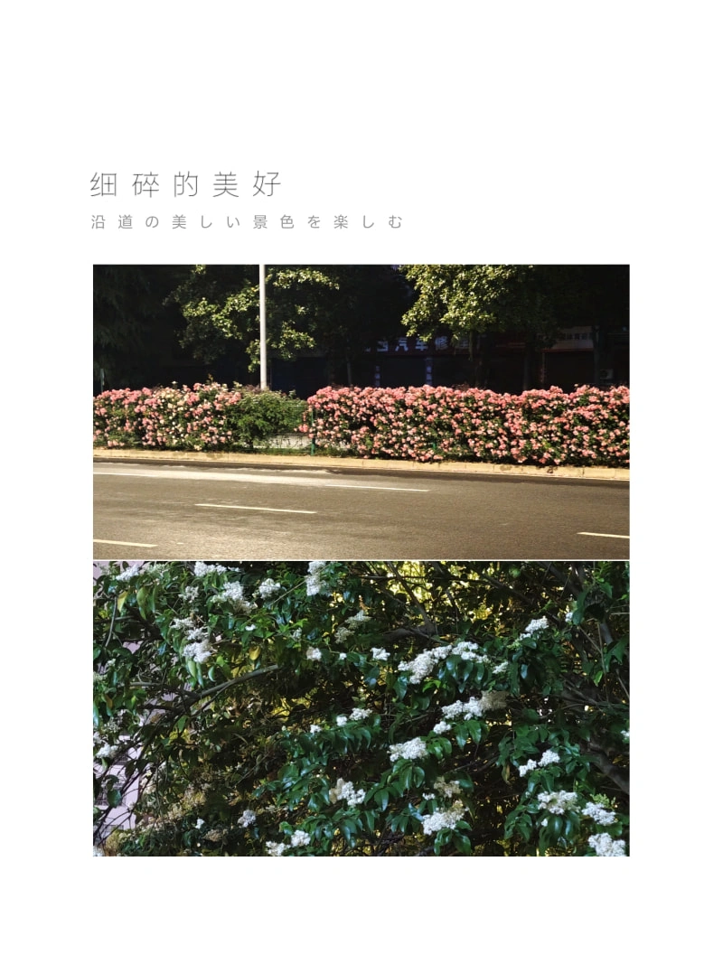 繁华盛开的街景