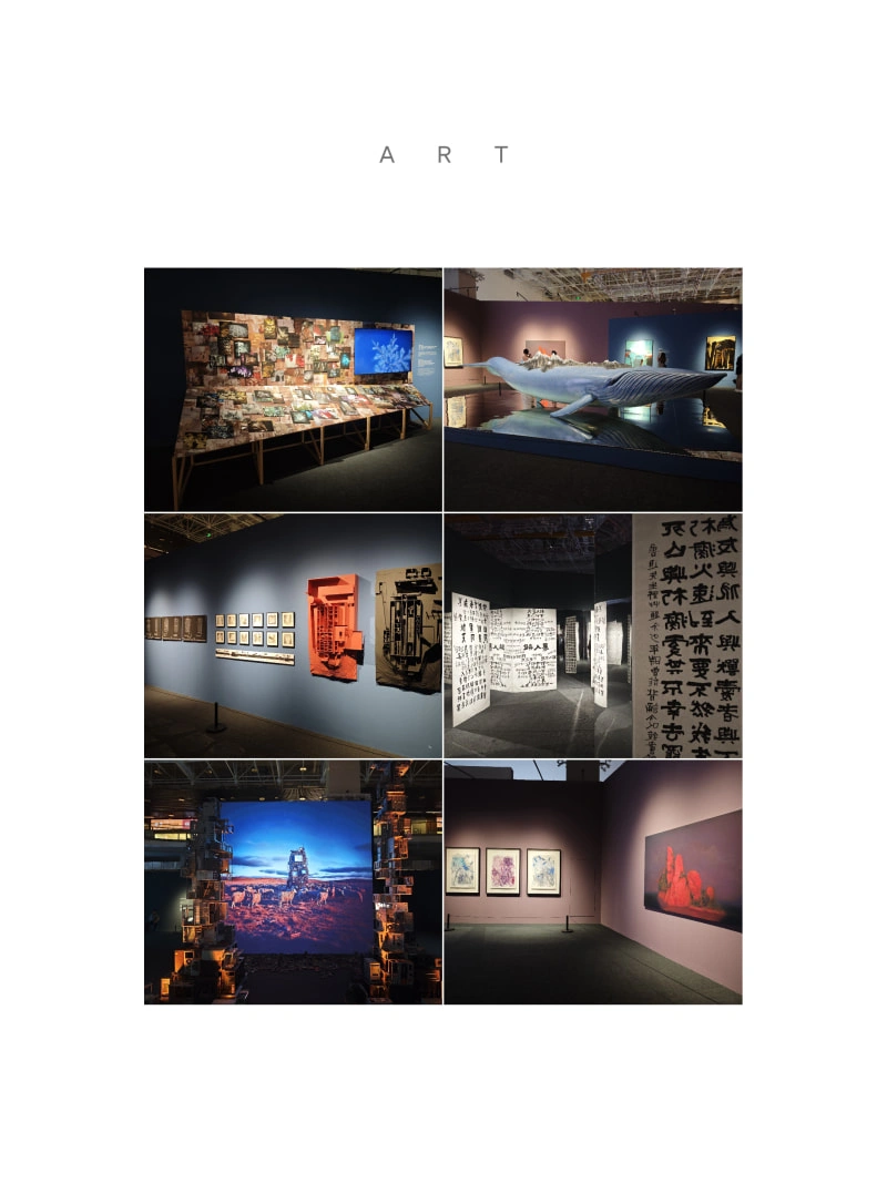 最后一天赶上的艺术展